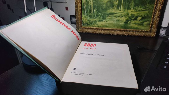 Пограничные войска СССР 1918-1928