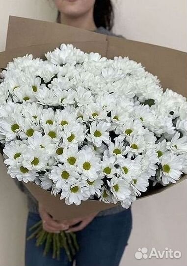 Хризантема Доставка цветов Букеты