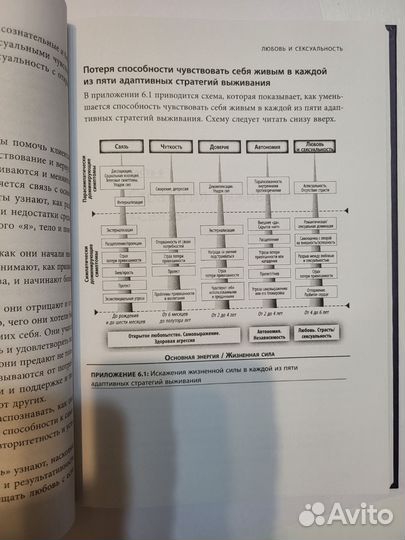 Исцеление травмы развития