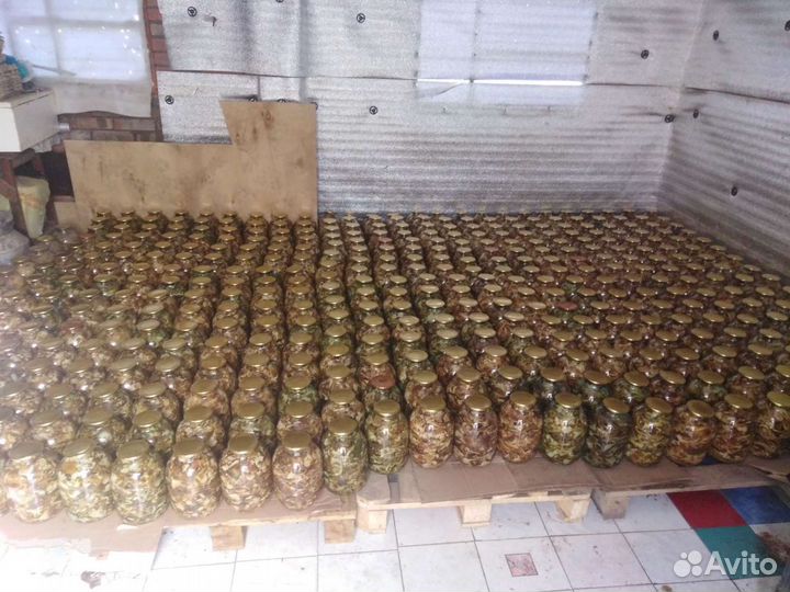 Маринованные Грибы Опята