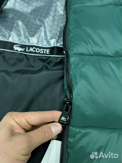 Зимние куртки Lacoste