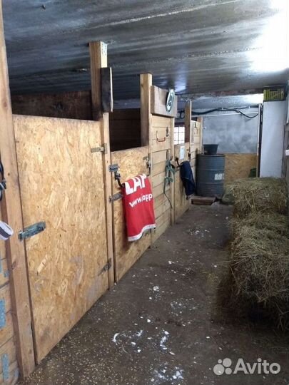 Постой в частной конюшне