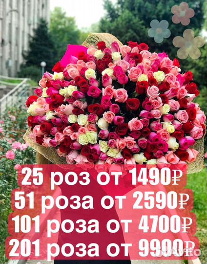 Розы Цветы Доставка 25 51 151 201 101 301 501 опт
