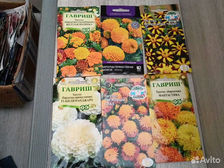 Семена коллекционных петуний и бархатцев