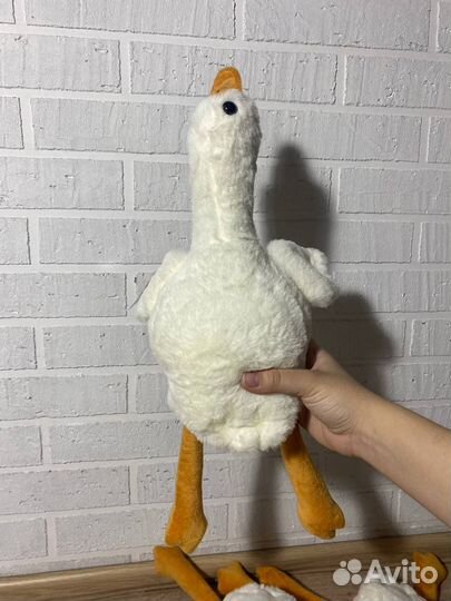 Гусь обнимусь