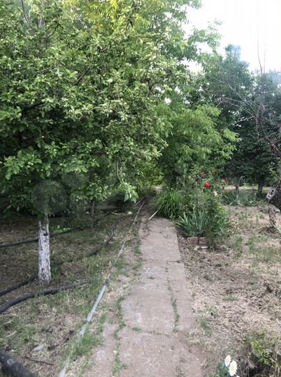 Участок 13,5 сот. (ИЖС)