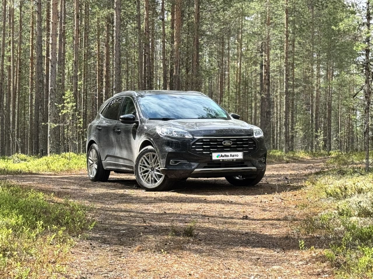 Ford Escape: фото владельца