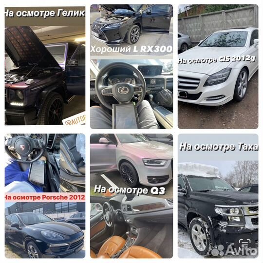 Автоподбор Вологда. Подбор авто. Автоэксперт