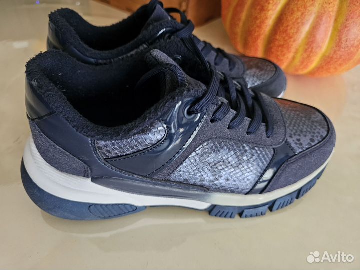 Кроссовки 37 б/у taccardi