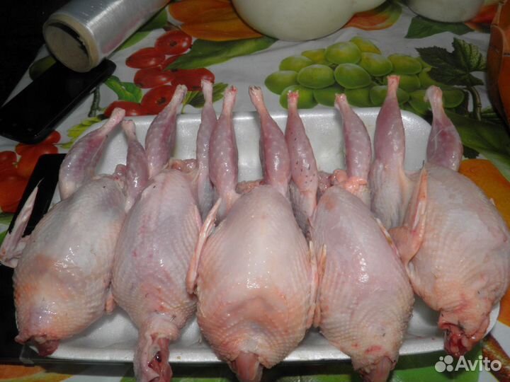 Яйца перепелиные - домашние, тушки(мясо) перепелов