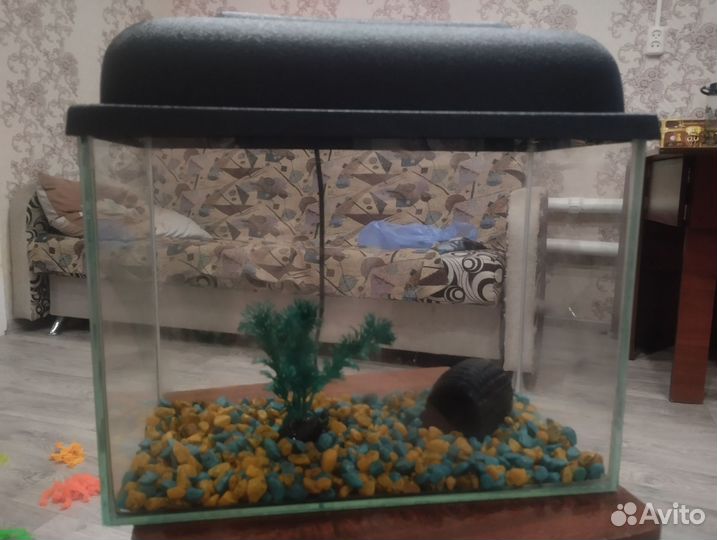 Аквариум 15л