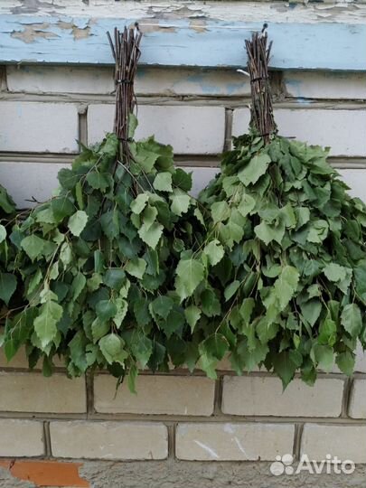 Дубовые веники, березовые веники