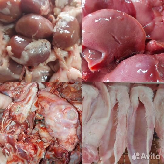 Мясо для собак. Говядина, конина, кролик