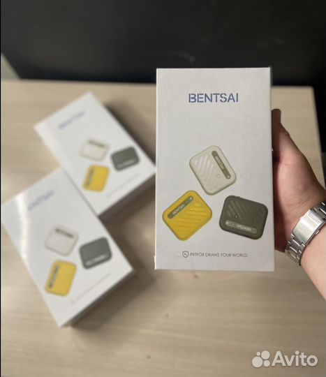 Принтер bentsai mini