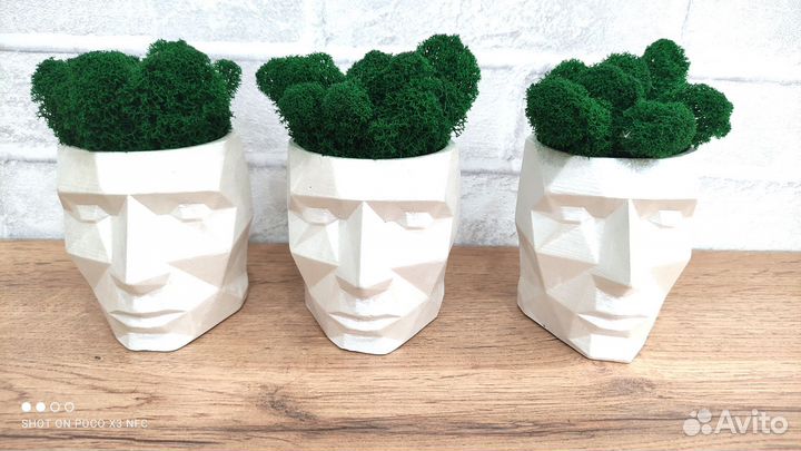 Стабилизированный мох в гипсовом кашпо