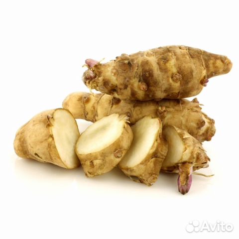 Топинамбур клубни