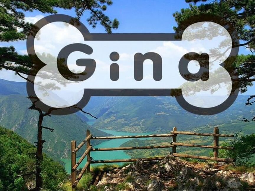 Полнорационный сухой корм для собак Gina