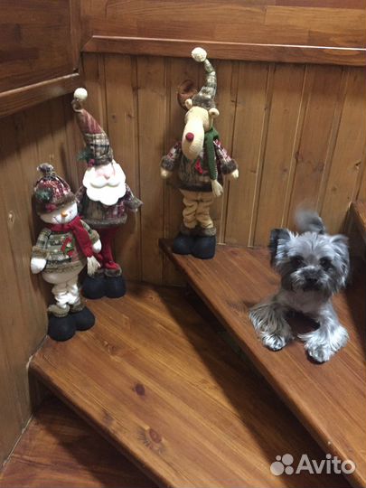 Мальчик для вязки