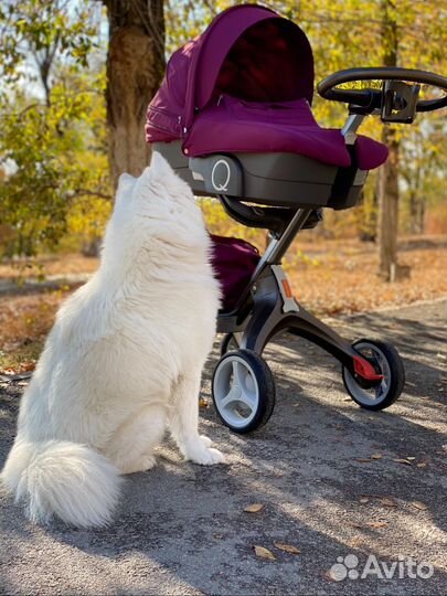 Детския коляска 2в1