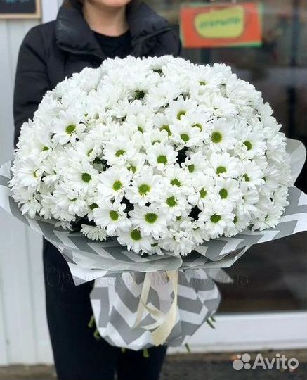 Букеты Цветы Хризантемы с доставкой