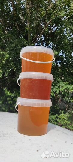 Мед горный(светлый)