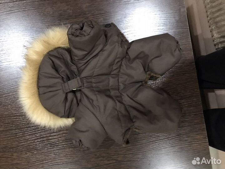 Комбинезон для маленькой собаки