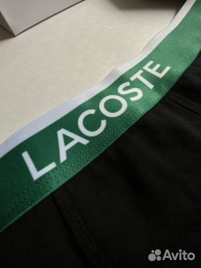 Мужские трусы Lacoste + носки