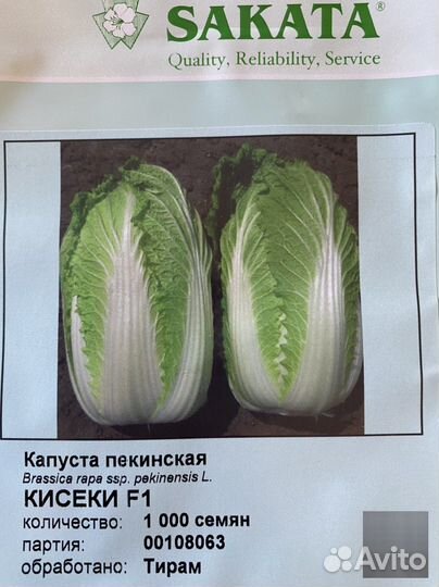 Пекинская капуста