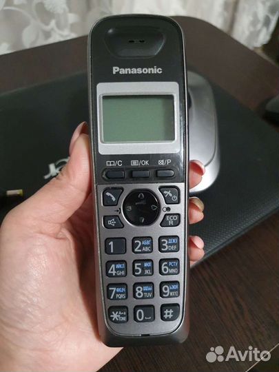 Panasonic