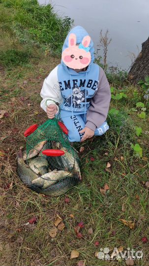 Карп свежий, почищенный