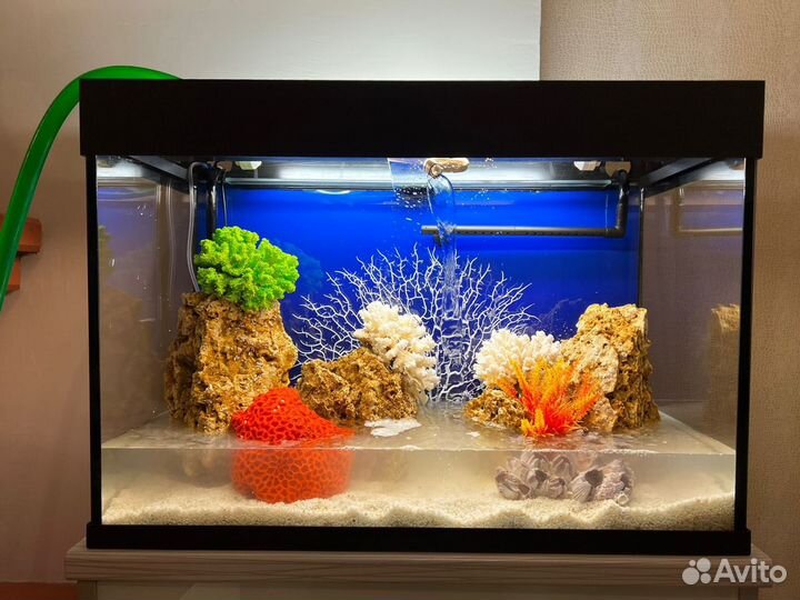 Аквариумы