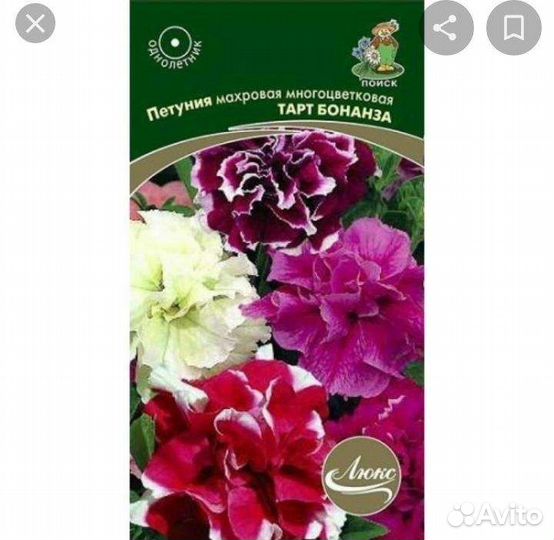 Петунья рассада