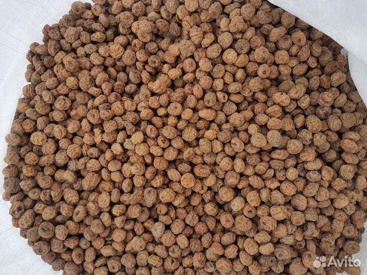 Орех (Чуфа) хl Испания