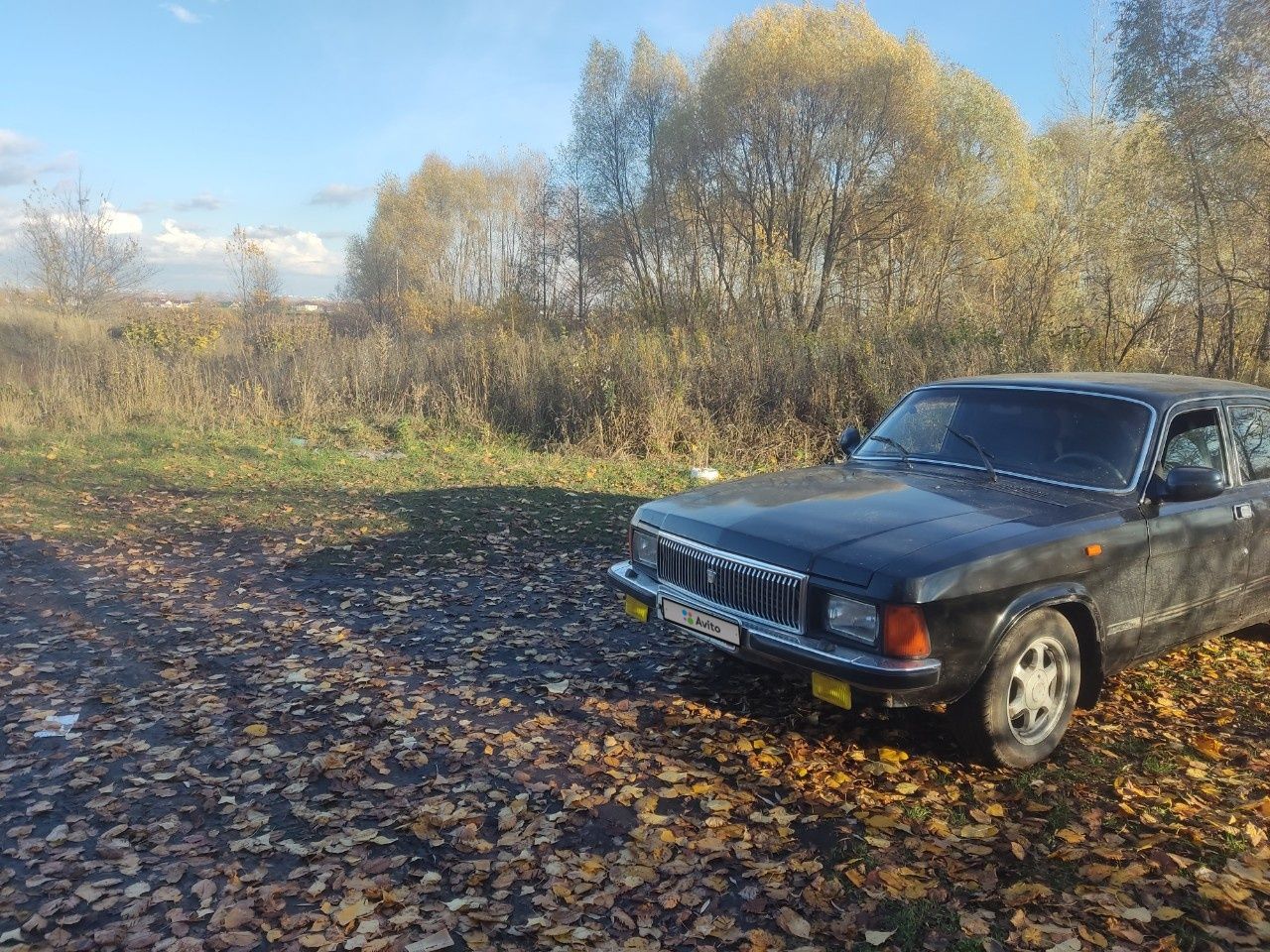 ГАЗ 3102 Волга: фото владельца