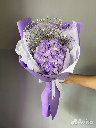 Гортензия в современной упаковке