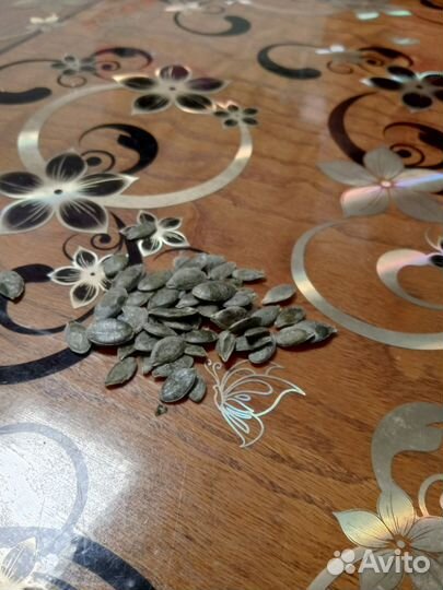 Семена штирийской тыквы