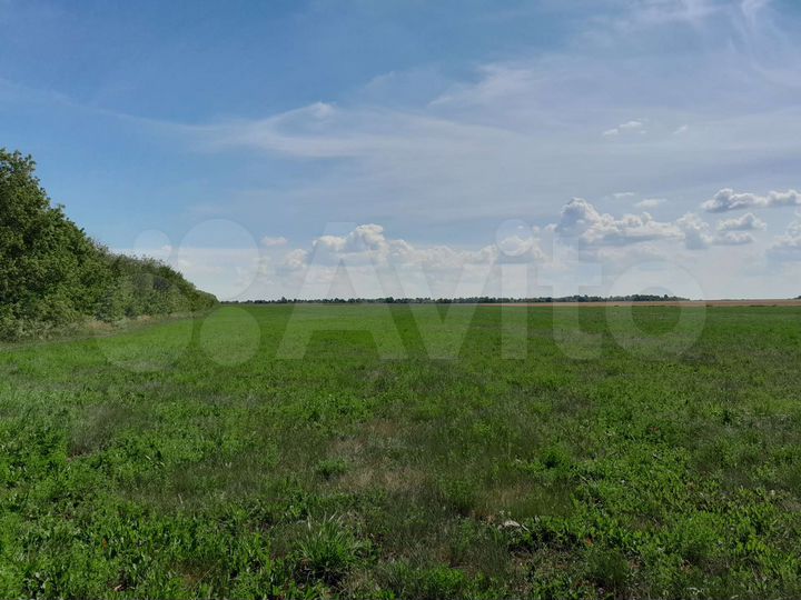 Участок 8 га (СНТ, ДНП)