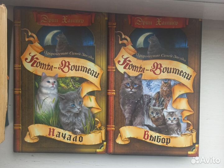 Коты воители книги. Дополнительные издания