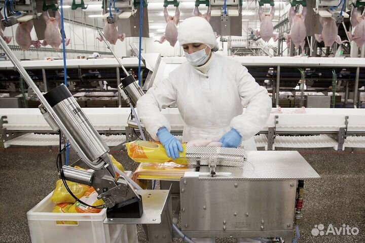 Работа на птицефабрике, предусмотрена премия Пермь