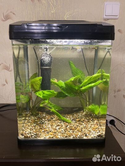 Аквариум
