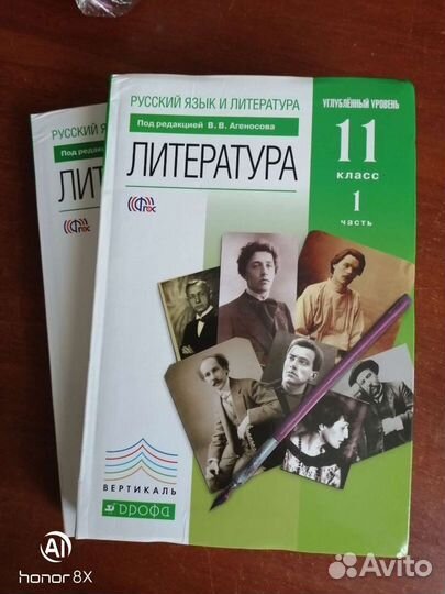 Литература 10-11 класс, углублённый уровень