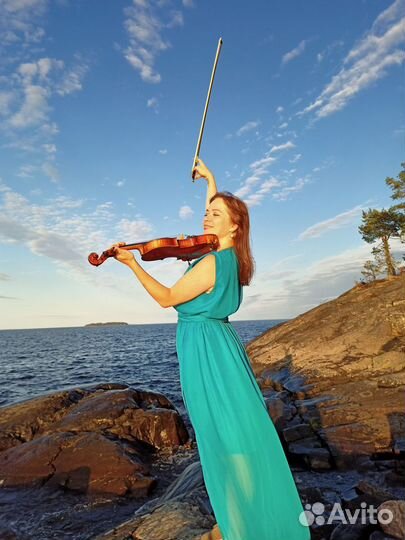 Скрипачка, музыкант на праздник, свадьбу