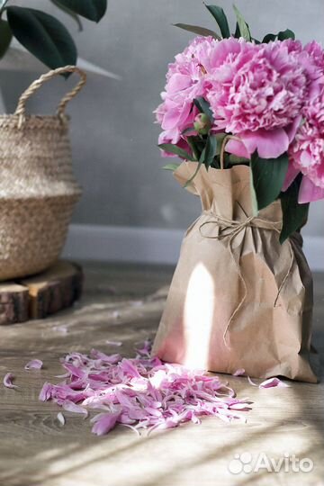 Фотограф для контент съемок