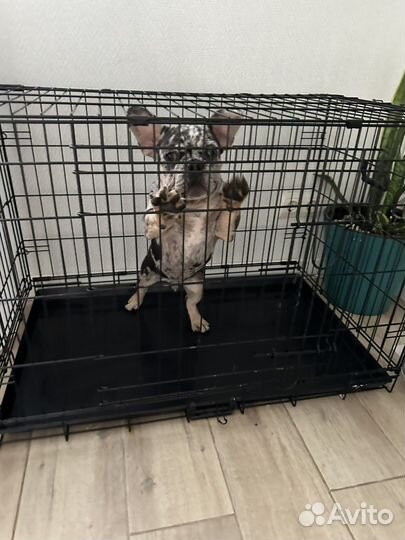 Вольер для щенков