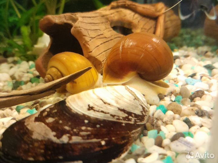 Украшение для аквариума