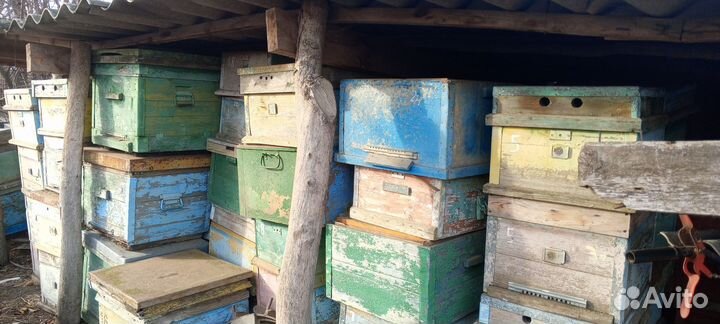 Ульи для пчел