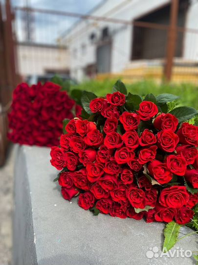 Букет свежих голландских роз