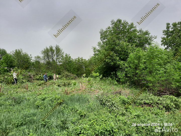 Расчистка участка