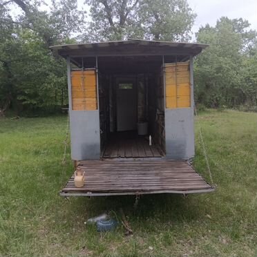 Пчелы и улья