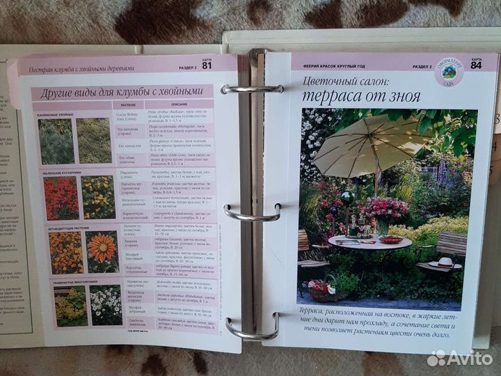 Энциклопедия сад моей мечты